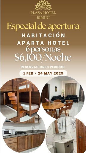 Habitacion Aparta Hotel 304